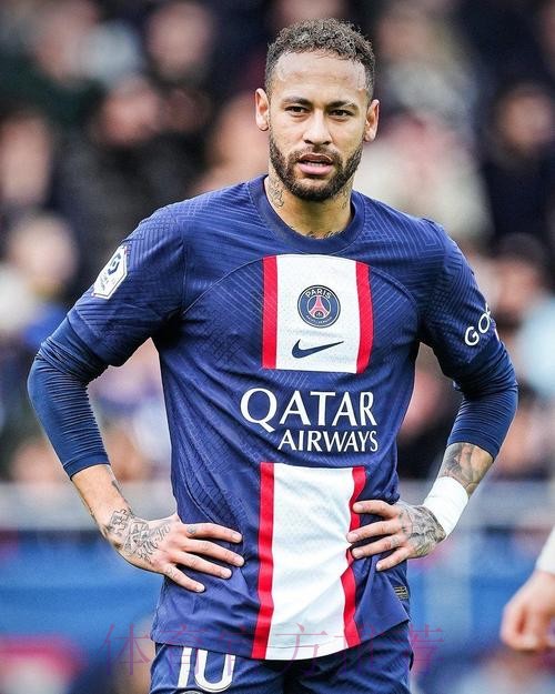 世界杯法国内马尔比赛解读全解析