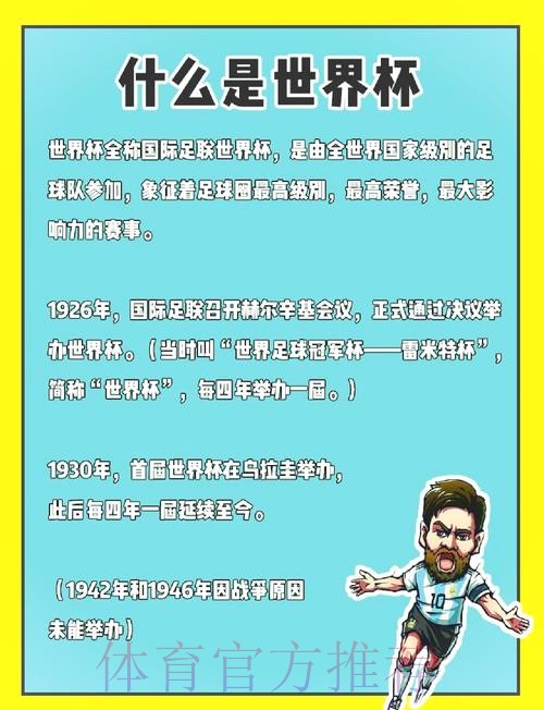 世界杯法国内马尔比赛解读全解析